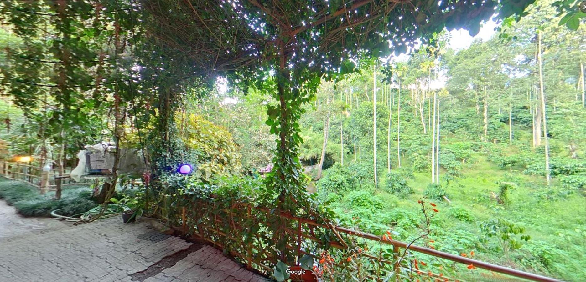 カルペッタ Wayanad Royal Stream Bed & Breakfast エクステリア 写真
