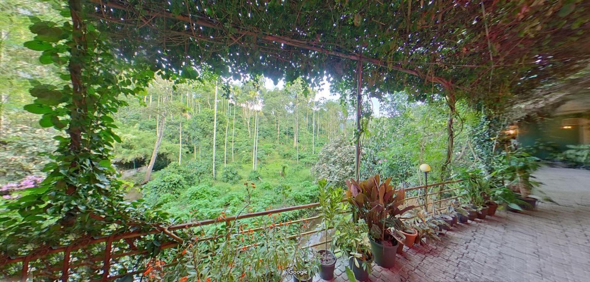 カルペッタ Wayanad Royal Stream Bed & Breakfast エクステリア 写真