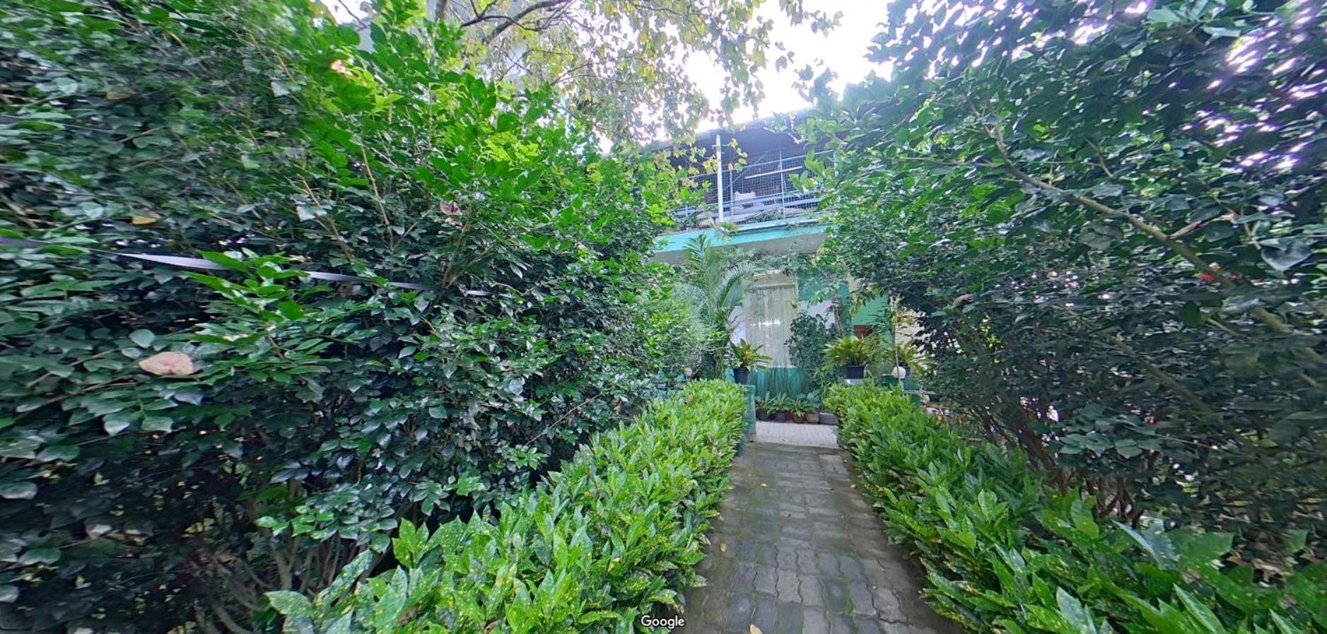 カルペッタ Wayanad Royal Stream Bed & Breakfast エクステリア 写真