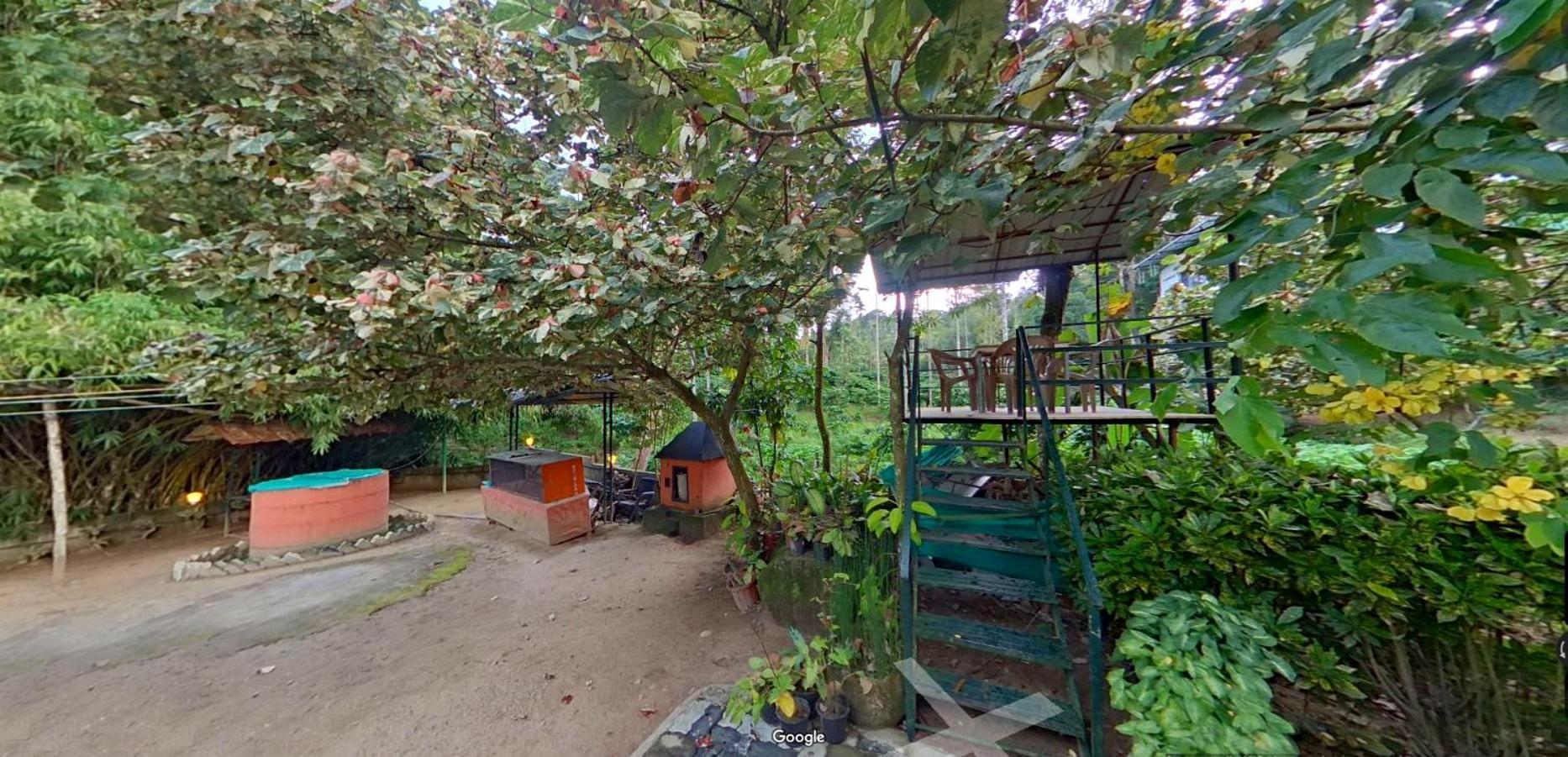 カルペッタ Wayanad Royal Stream Bed & Breakfast エクステリア 写真