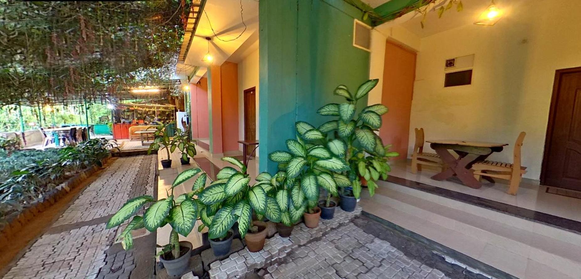 カルペッタ Wayanad Royal Stream Bed & Breakfast エクステリア 写真