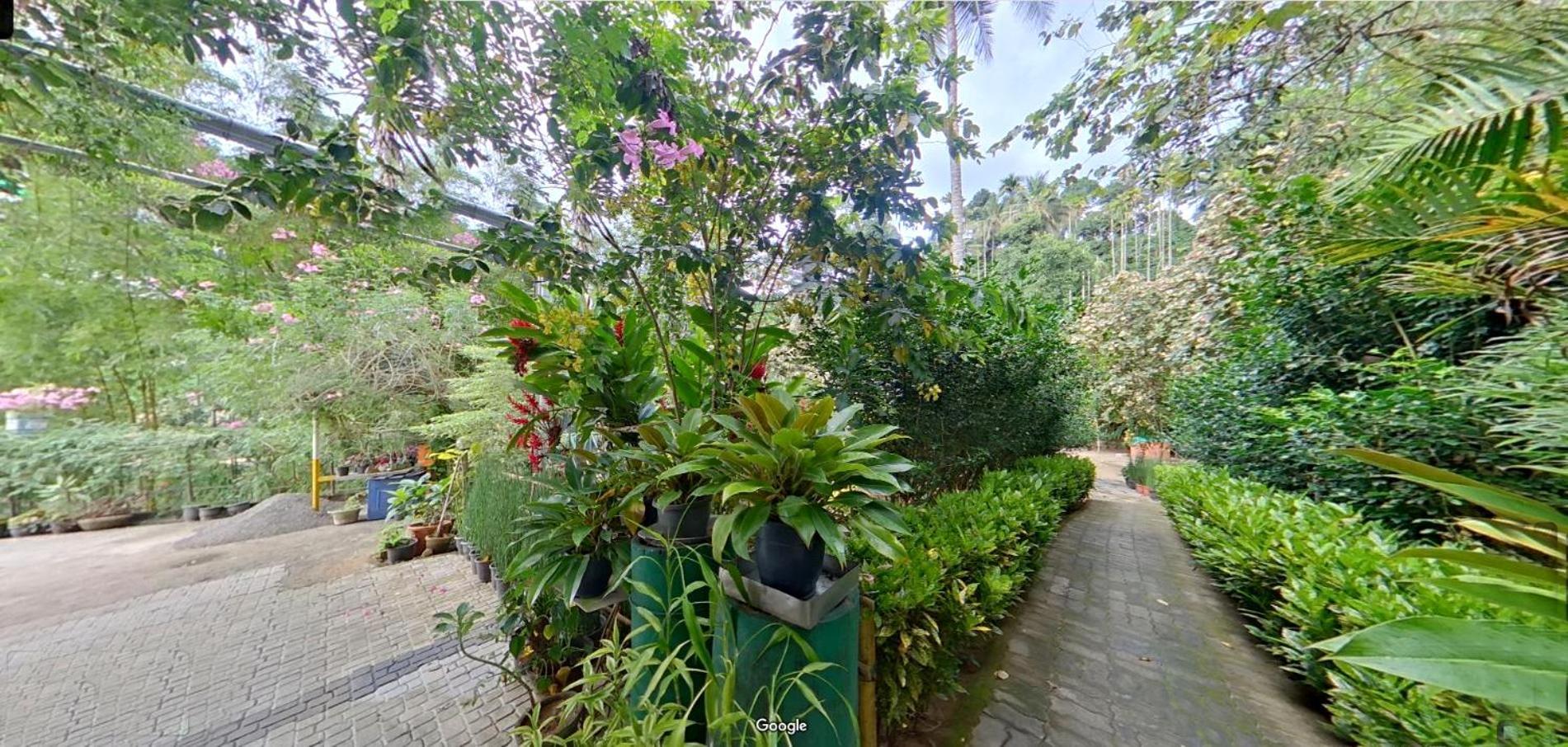 カルペッタ Wayanad Royal Stream Bed & Breakfast エクステリア 写真