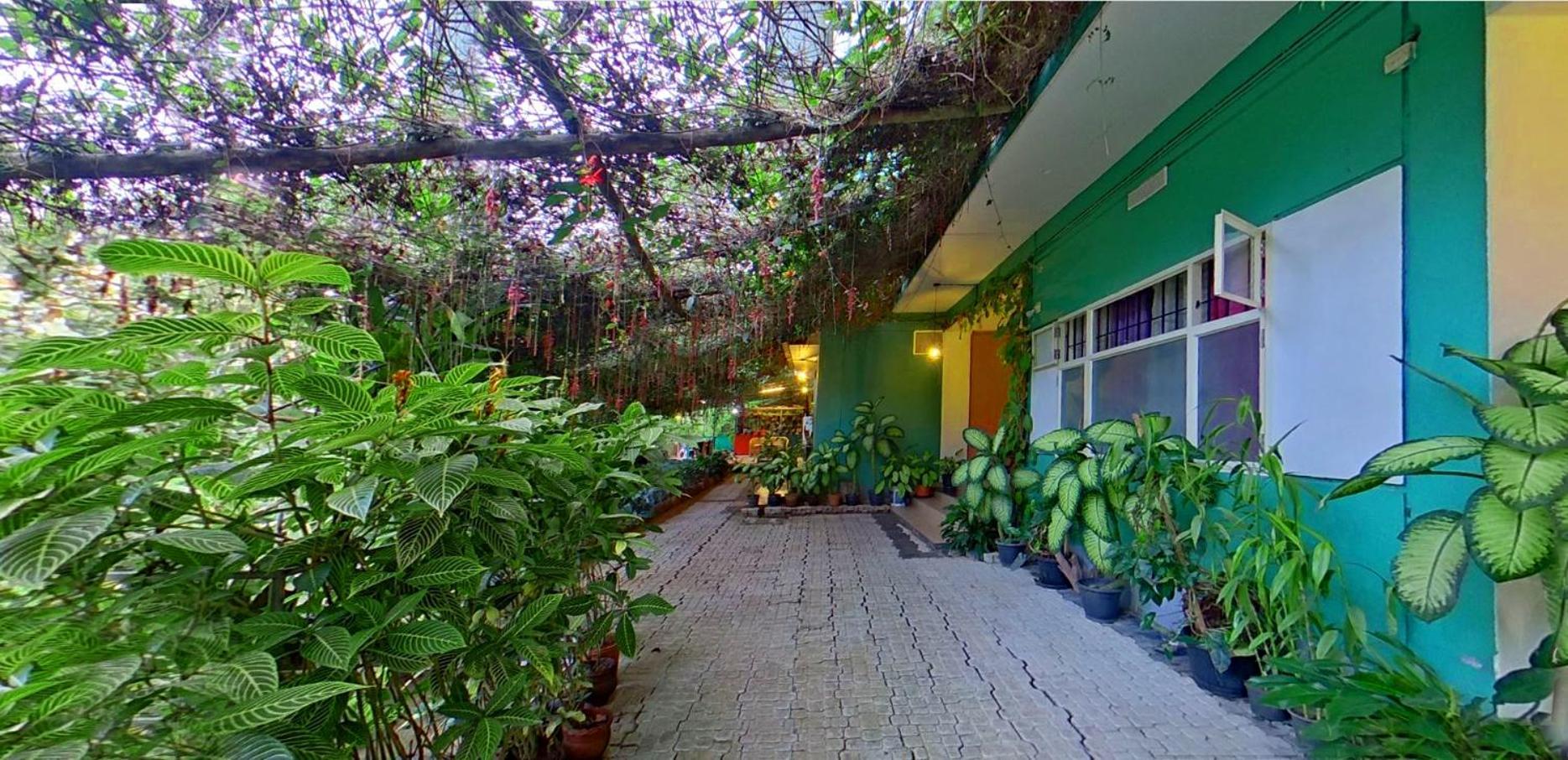カルペッタ Wayanad Royal Stream Bed & Breakfast エクステリア 写真