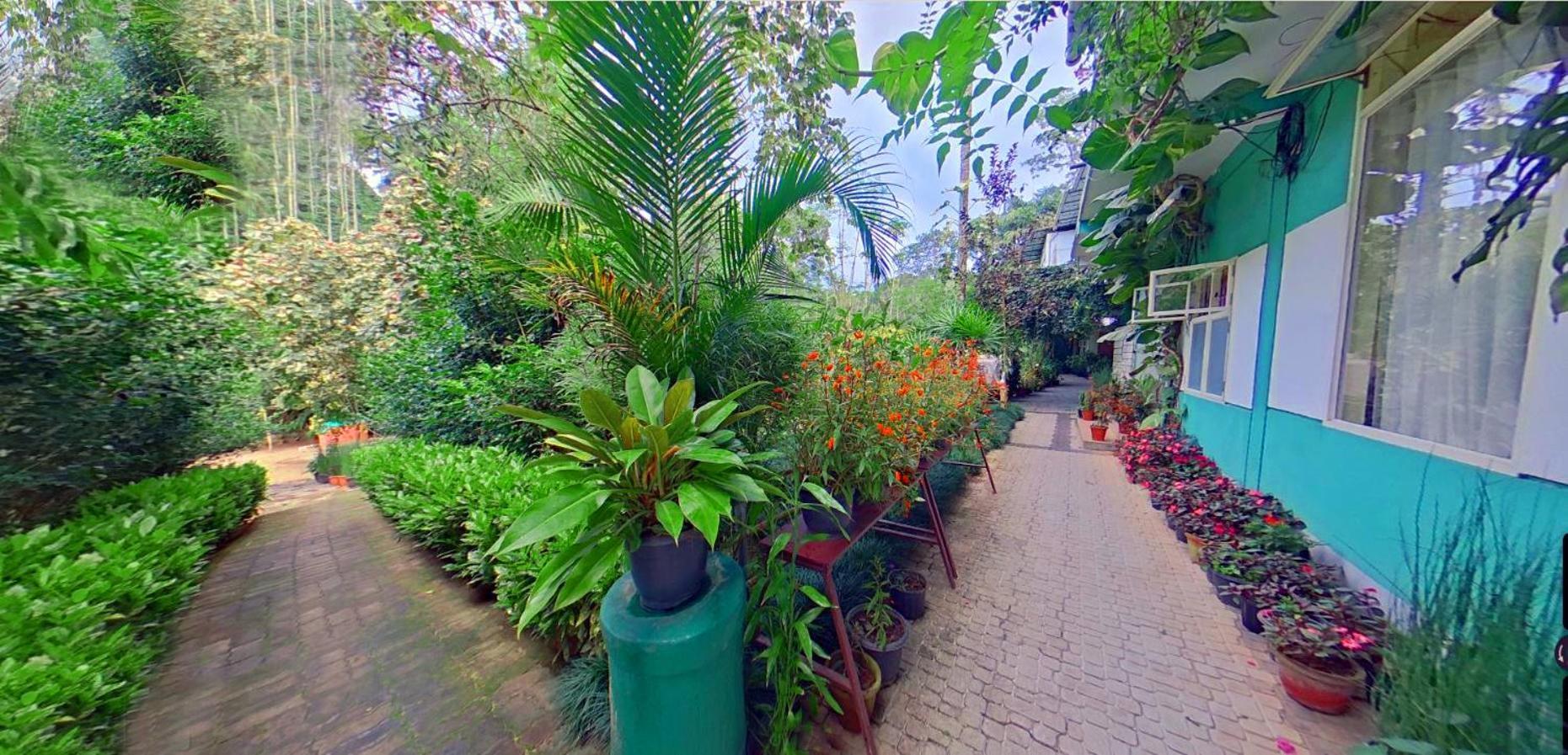 カルペッタ Wayanad Royal Stream Bed & Breakfast エクステリア 写真