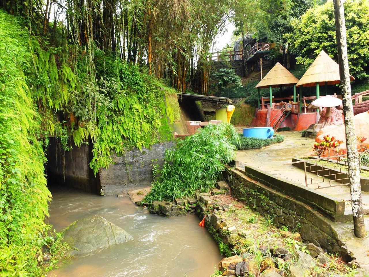 カルペッタ Wayanad Royal Stream Bed & Breakfast エクステリア 写真